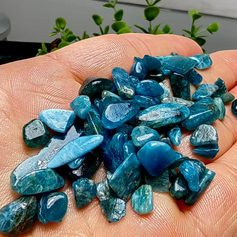 Natural Blue Phosphorite Chips
