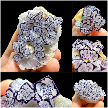 Enchanting Purple-Edged Fluorite Mineral Specimens