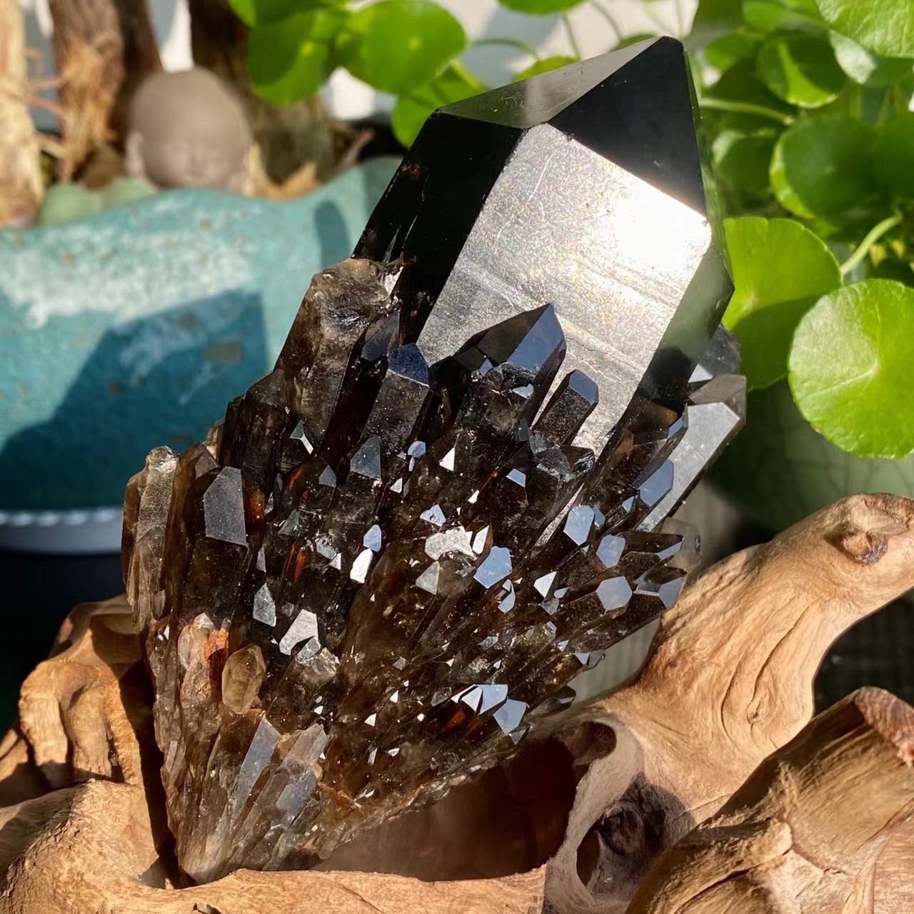 Natural Black Quartz Cluster and Smoky Quartz Cluster