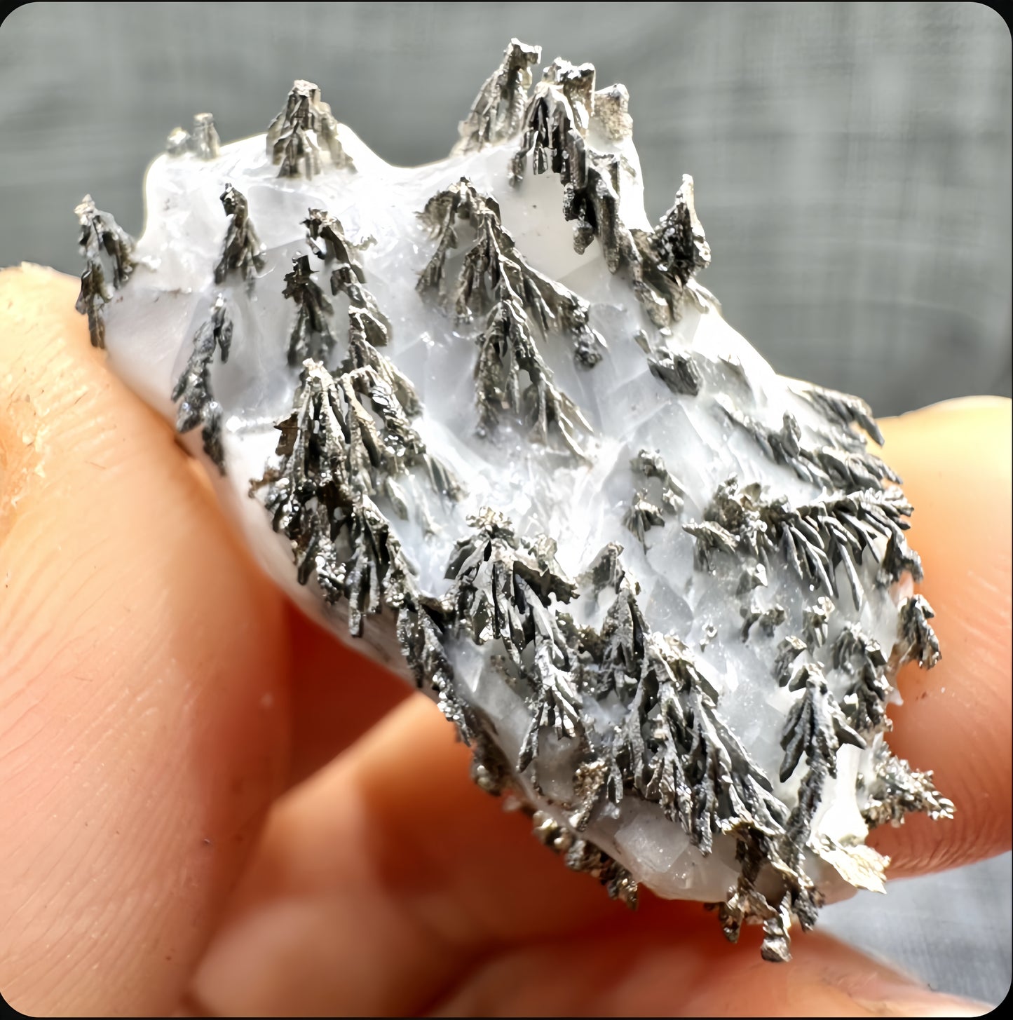 American Natural Silver Ore Specimen