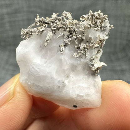 American Natural Silver Ore Specimen