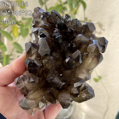 Natural Black Quartz and Smoky Quartz Crystal Clusters