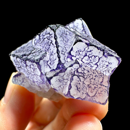 Enchanting Purple-Edged Fluorite Mineral Specimens