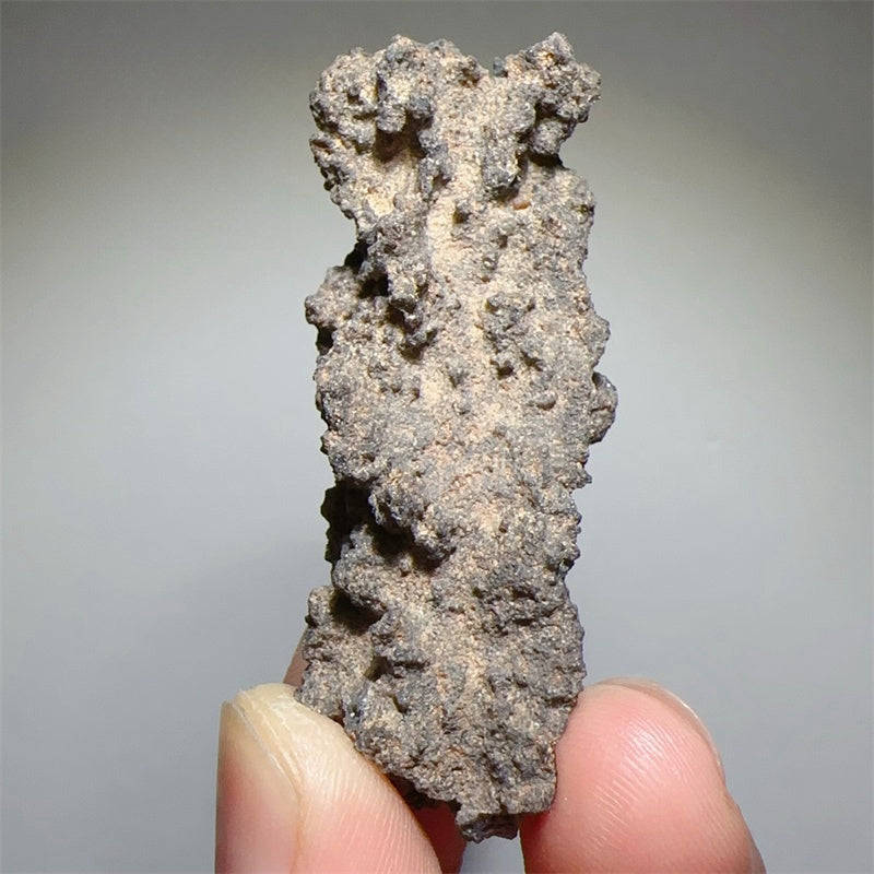 Sahara Desert Fulgurite Collection