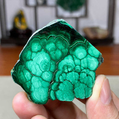 Natural Malachite Slices with Eye of Heaven - Raw Mineral Display Pieces