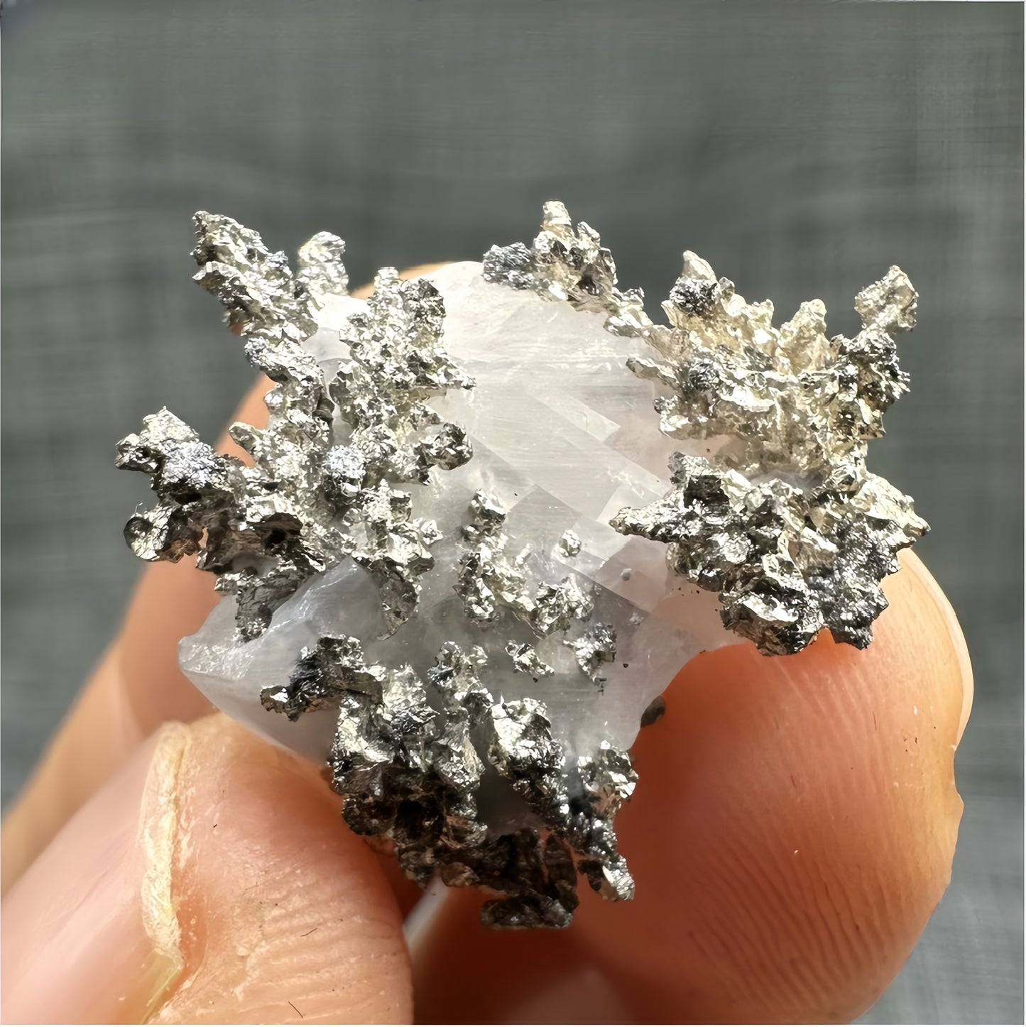 American Natural Silver Ore Specimen