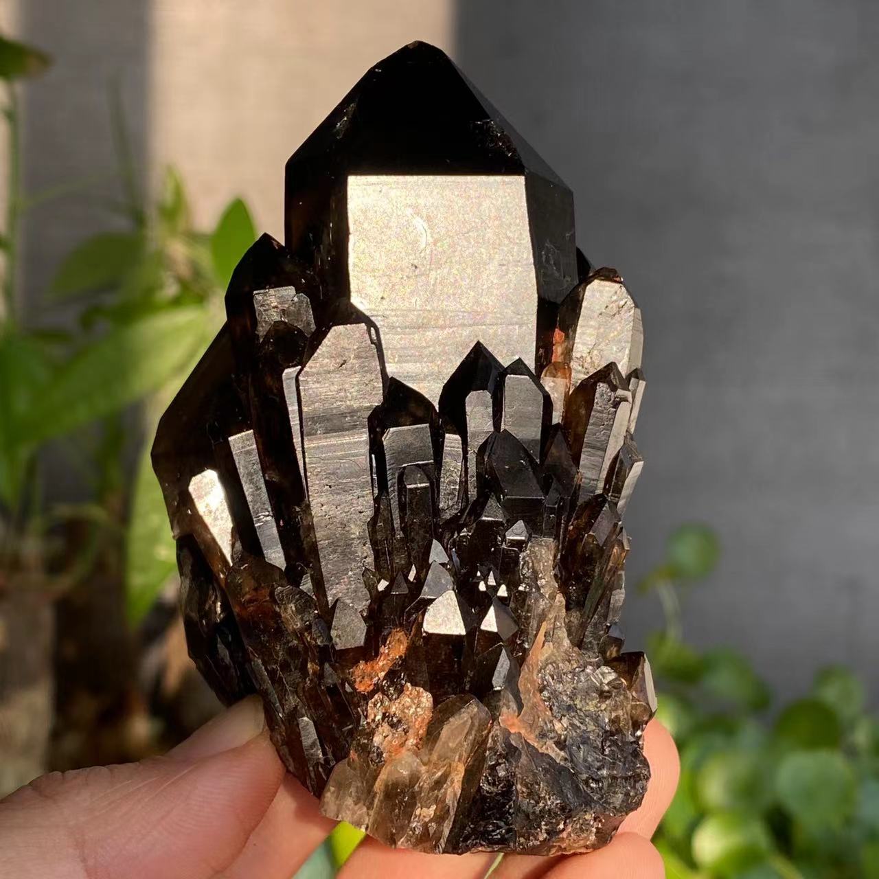 Natural Black Quartz Cluster and Smoky Quartz Cluster