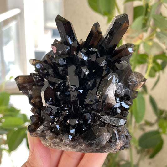 Natural Black Quartz and Smoky Quartz Crystal Clusters