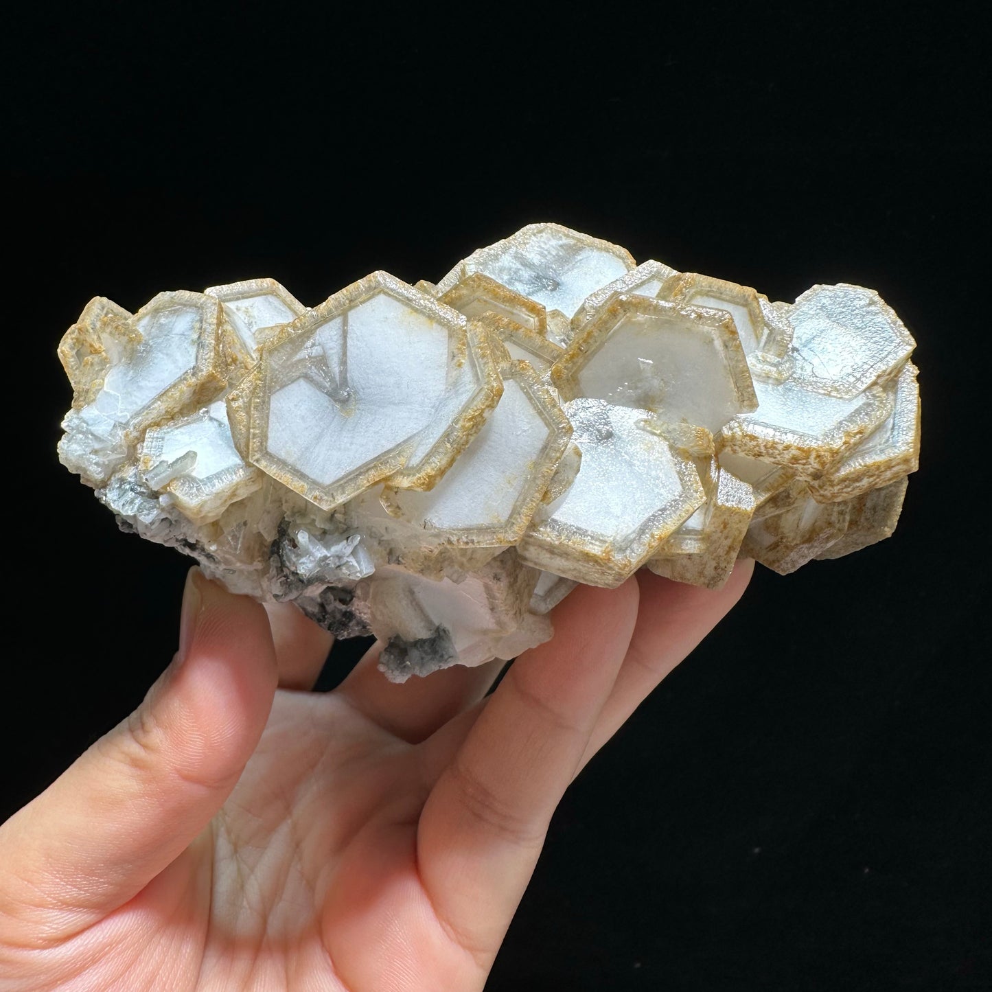 Rare Hexagonal Cookie-Shaped Calcite Crystal Cluster