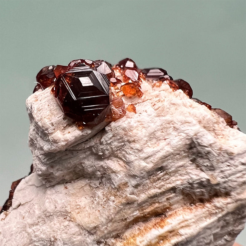 Natural Garnet Crystal Specimens