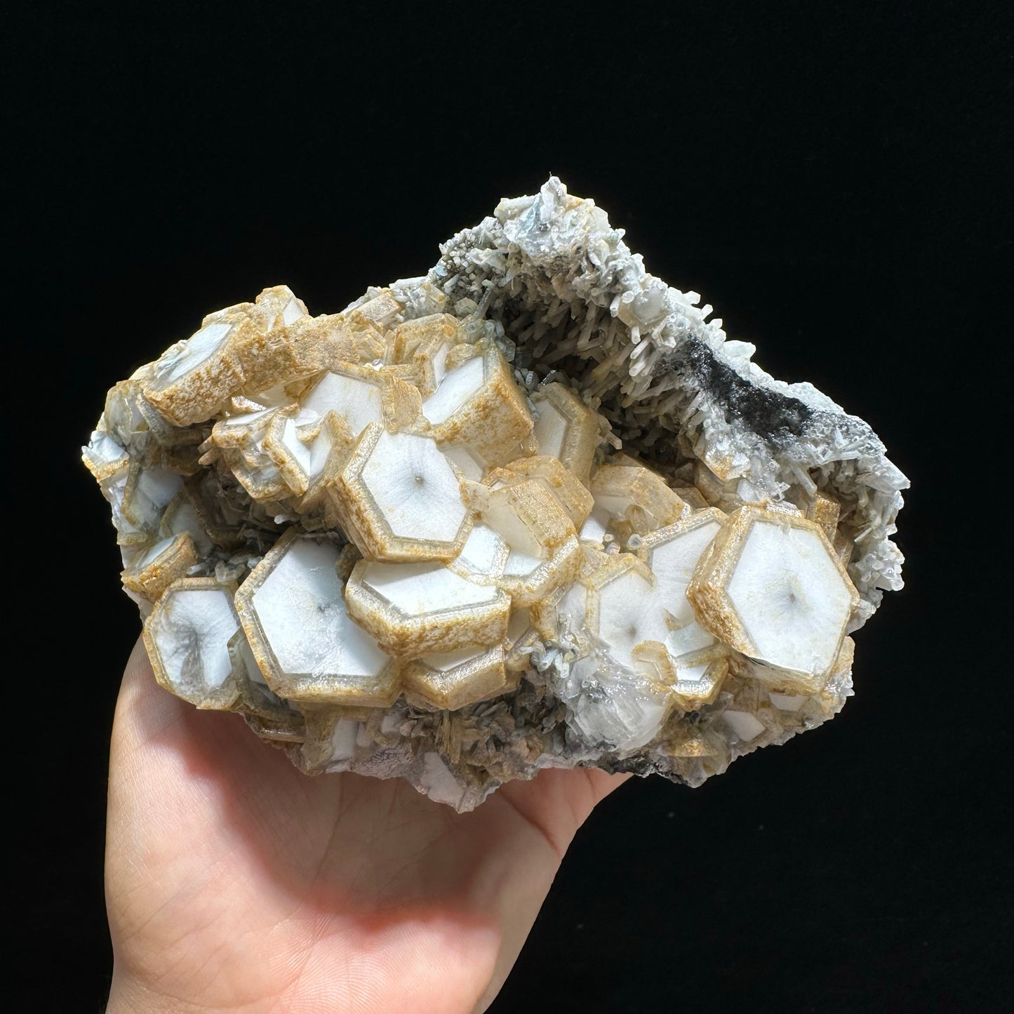 Rare Hexagonal Cookie-Shaped Calcite Crystal Cluster