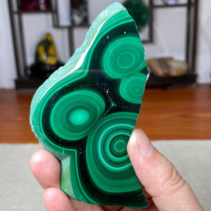 Natural Malachite Slices with Eye of Heaven - Raw Mineral Display Pieces